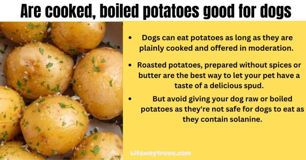 Are cooked, boiled potatoes good for dogs