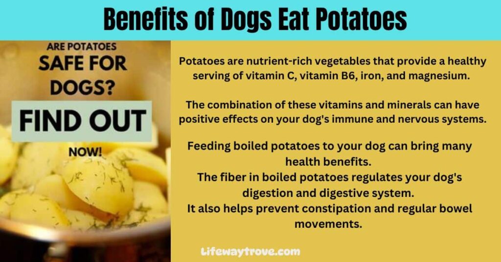 Benefits of Dogs Eat Potatoes