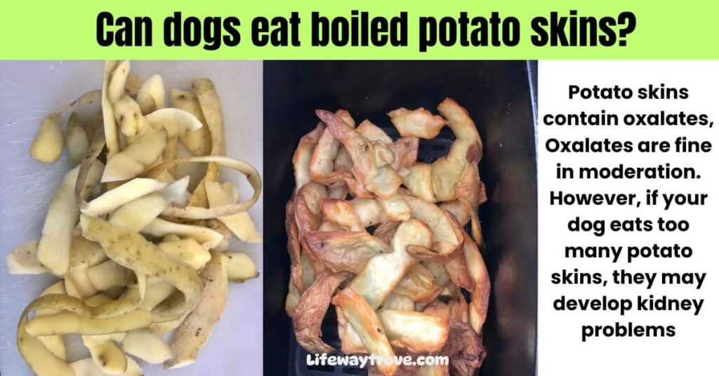 Can dogs eat boiled potato skins